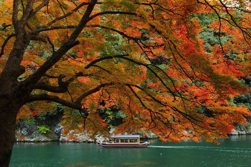 Hoshinoya Kyoto Quioto Amenidades foto